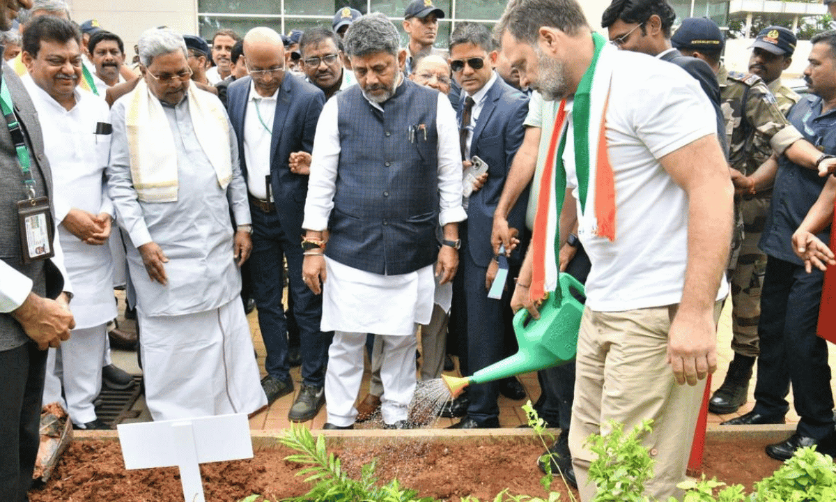 BDA Plans 15 Lakh Sapling Plantation Drive Across Bengaluru on June 27, Eyes Guinness World Record