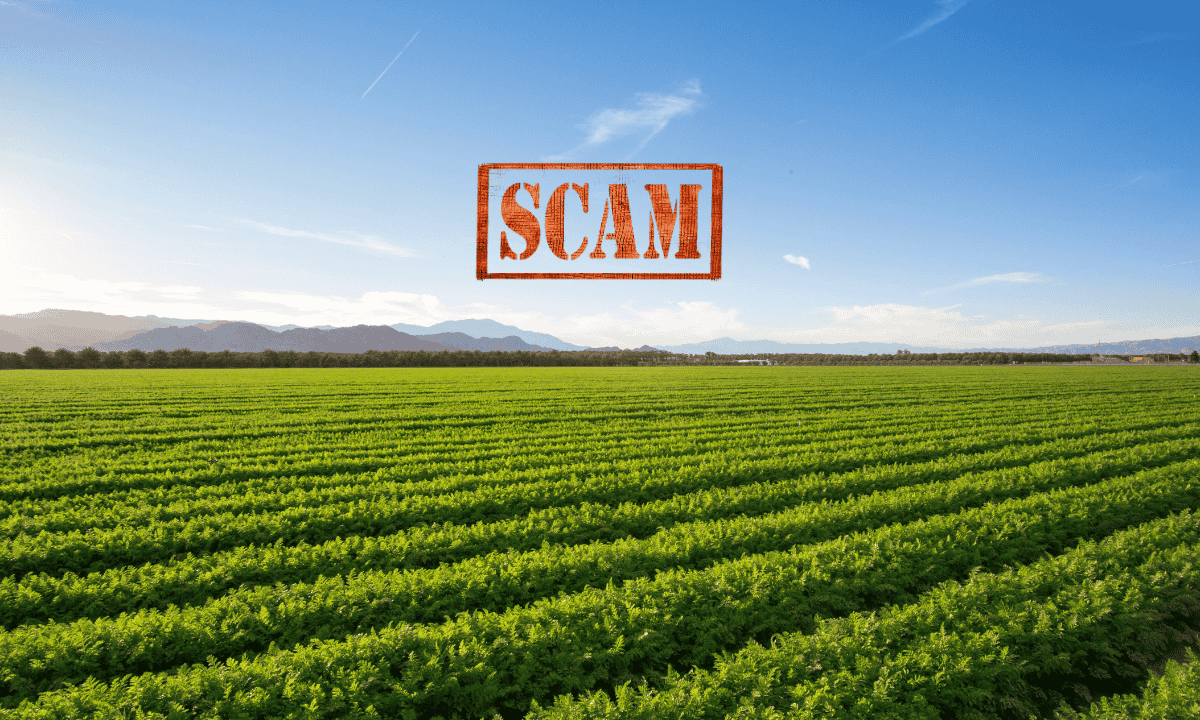 Builder Loses Crores After Buying Land with Forged Documents in Sohna