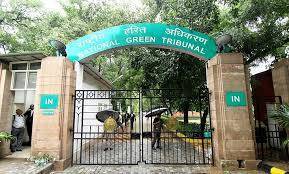 NGT Puts Goa Sand Mining on Hold Again, Extends Ban Amid Clearance Dispute