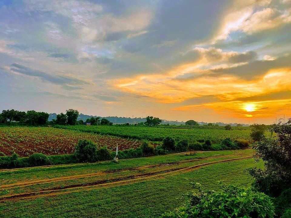 Agricultural Land Conversion Norms Eased to Accelerate Urban Projects in UP