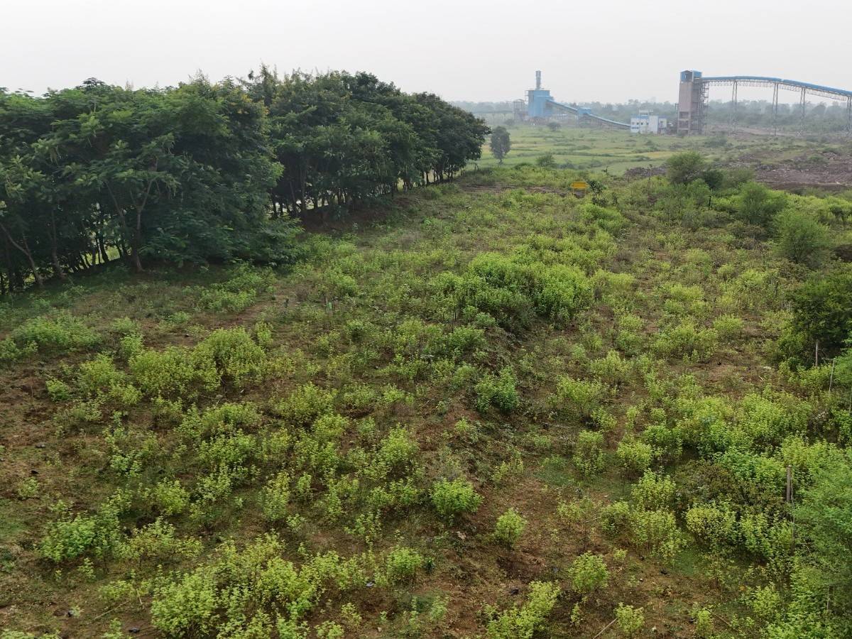 UltraTech Achieves Major Green Energy Milestone With First 100% Green Energy-Powered Integrated Unit