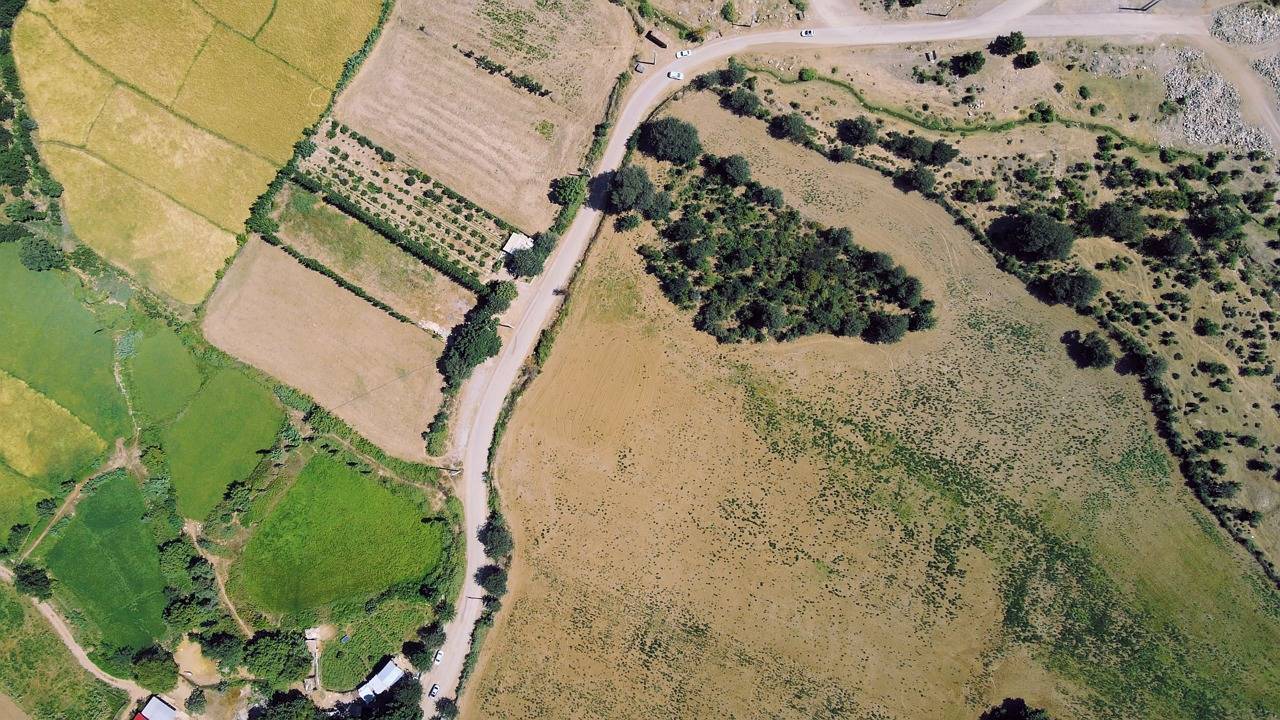 Infosys Denies Subsidy Claims After ₹250-Crore Sale of 53.5-Acre Land to Puravankara Sparks Political Debate