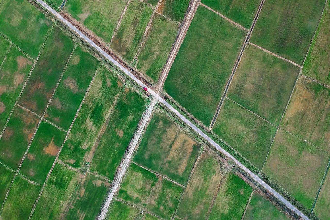 Joint Survey Planned by BDA and Forest Dept to Settle Banashankari 6th Stage Land Issue