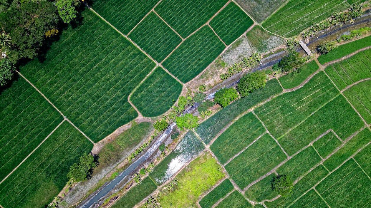 Mahindra & Mahindra Eyes 350-Acre Land Parcel in Igatpuri, Maharashtra