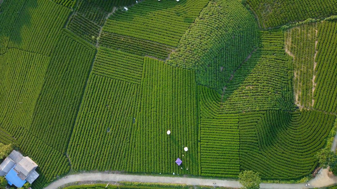 Why Bengaluru’s Real Estate Market Is Struggling with GPS Property Tagging?