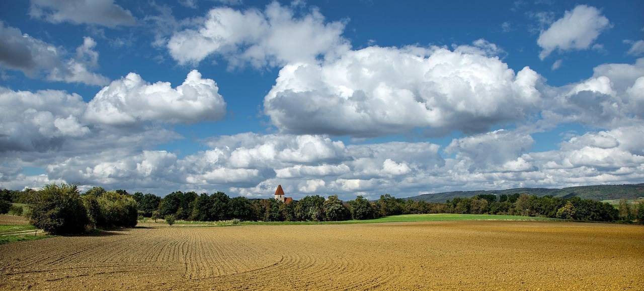 TSIIC to Auction Prime 18.67 Acres in Raidurg, Telangana Anticipates ₹2,000-Crore Plus Benchmark in Realty Market
