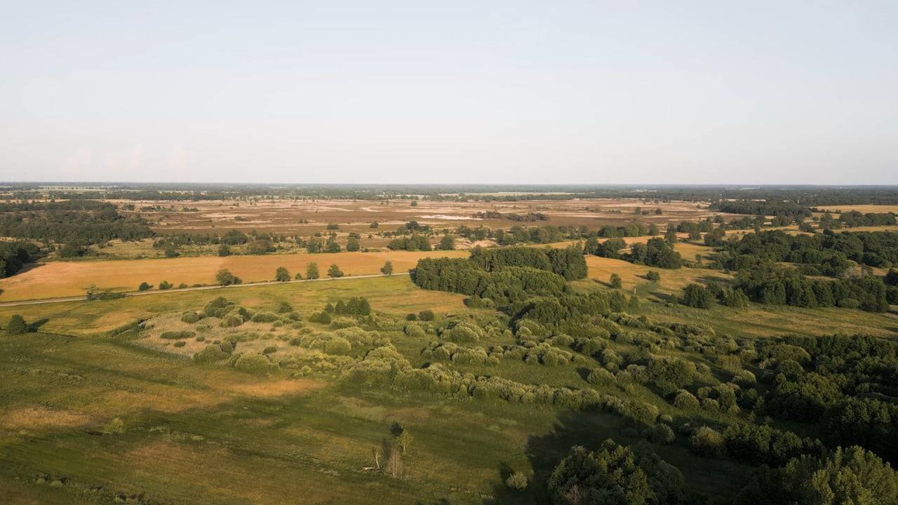 FOIP Announces Exclusive Launch of “Groving Soil,” a 300-Acre Managed Plot & Sandalwood Plantation Development