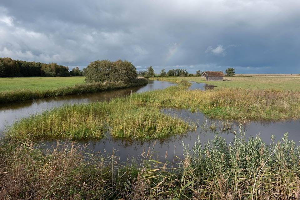 VACB​‍​‌‍​‍‌​‍​‌‍​‍‌ Exposes Widespread Nexus Behind Illegal Conversion of Kerala’s Wetlands for Real Estate